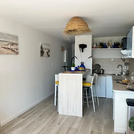 Au Cap D'agde 公寓 阿格德